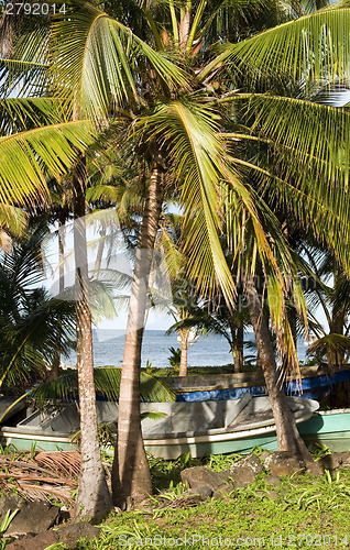 Image of fishing boats  palm tree Caribbean Sea  Big Corn Island Nicaragu