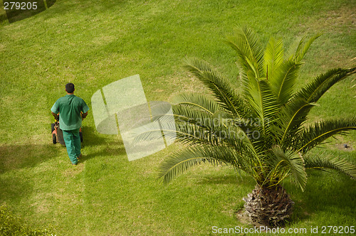 Image of Man working in garden