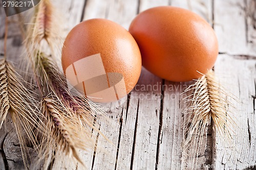 Image of fresh eggs and wheat ears