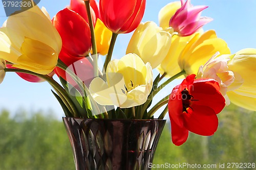 Image of Bouquet of colorful spring tulips in a vase