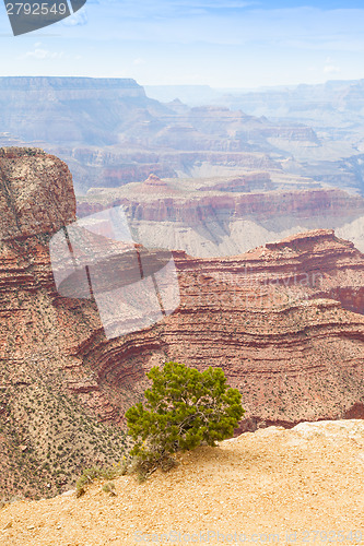 Image of Grand Canyon