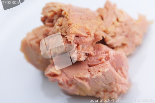 Image of tuna