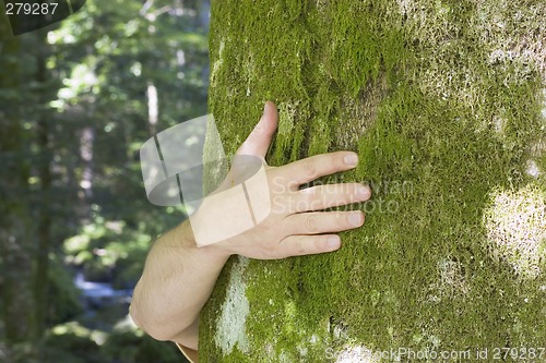 Image of Tree hugging