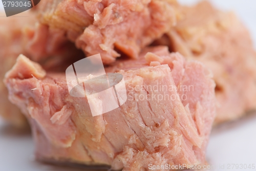 Image of tuna