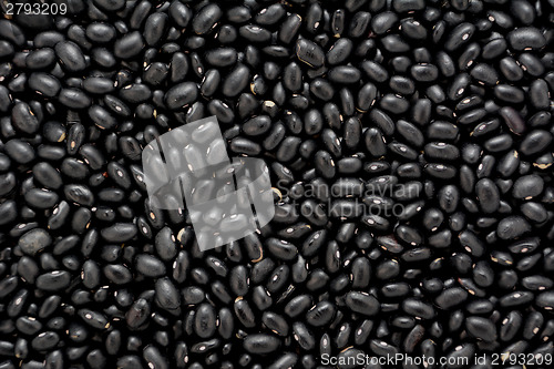 Image of Black turtle beans