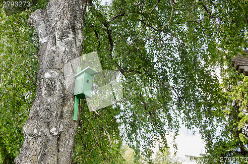 Image of bird house nesting-box hang on birch tree trunk 