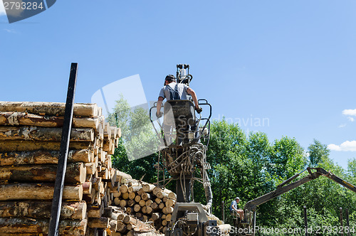 Image of Man load felled trees logs with crane to trailer 