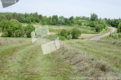 Image of farmer peasant rake dry hay grass in rural field 