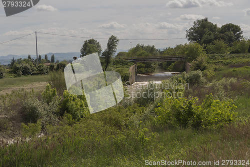 Image of Senio river near Cotignola in Italian countryside