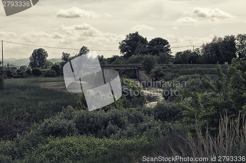 Image of Senio river near Cotignola in Italian countryside