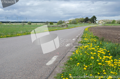 Image of Yellow Roadside