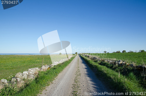 Image of Country road to the coast