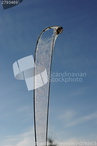 Image of Drops of dew on a spider web 