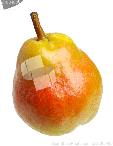 Image of Pear 