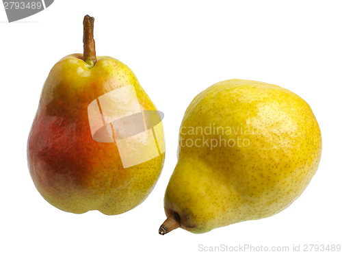 Image of Two pears