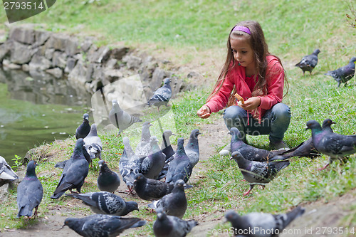 Image of Little girl feeding pigeons