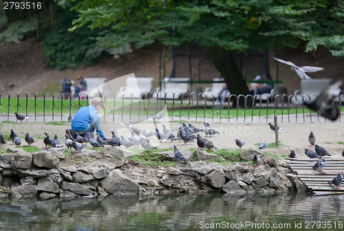 Image of Little boy feeding pigeons