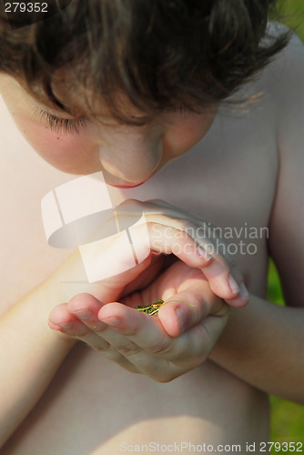 Image of Boy and frog