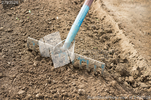 Image of Rake harrow tillage before planting seeds