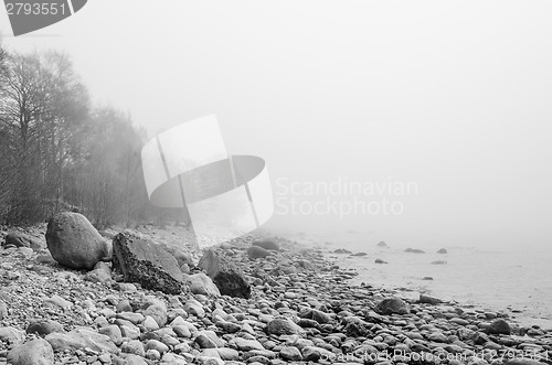 Image of Coast of Baltic sea in a fog