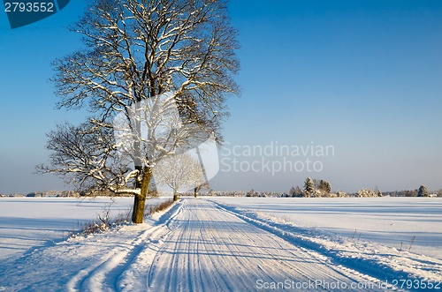 Image of Winter landscape with road to a countryside