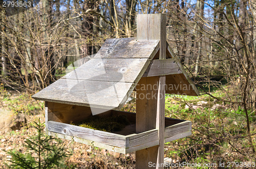 Image of Feeding trough for birds, a close up