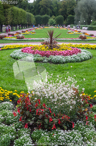 Image of Beautiful flower bed in park