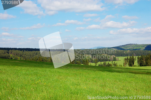 Image of Field with forest