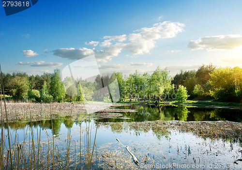 Image of Wide river at sunrise