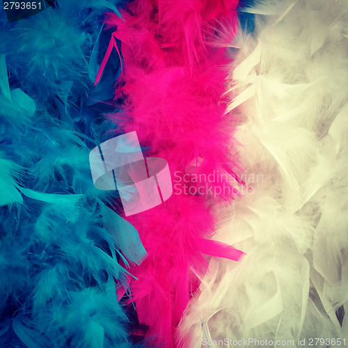 Image of Colorful feather boa