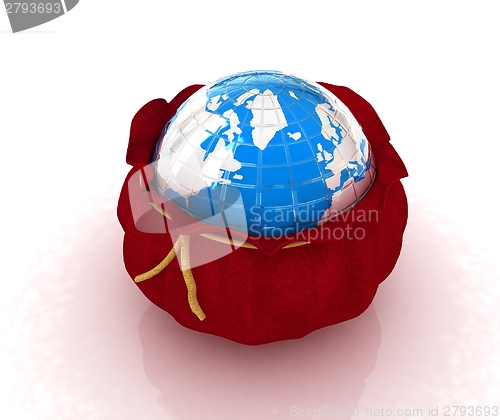 Image of Bag and earth 