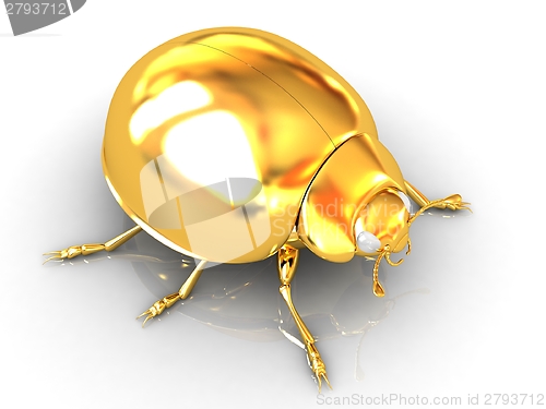 Image of golden beetle 