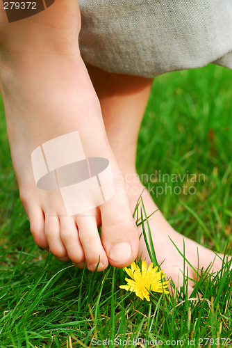 Image of Barefoot