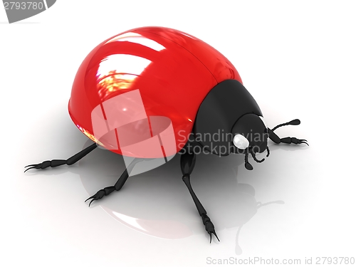 Image of Ladybird 