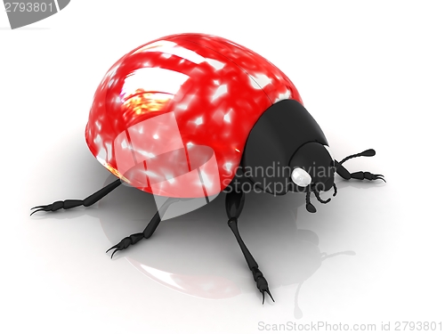 Image of Ladybird 