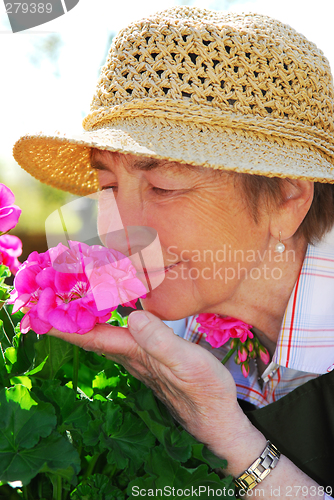 Image of Senior woman gardening