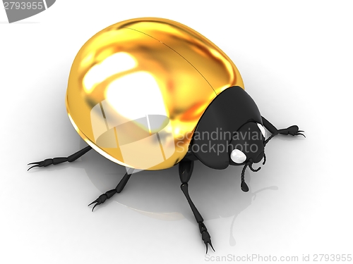 Image of golden beetle 