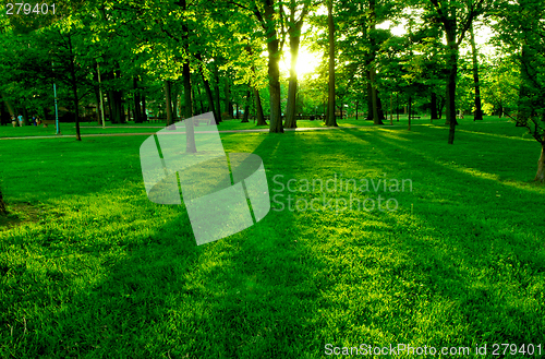 Image of Green park