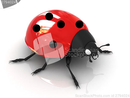Image of Ladybird 