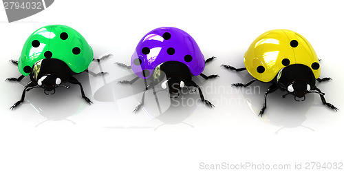 Image of Ladybirds