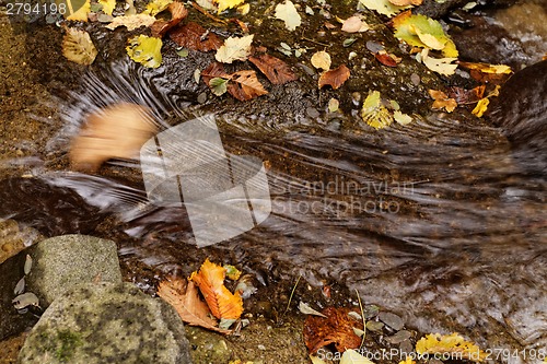 Image of Lake in autumn