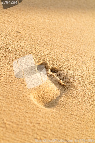 Image of Sandy beach