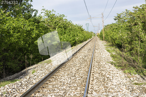 Image of Railroad and tress