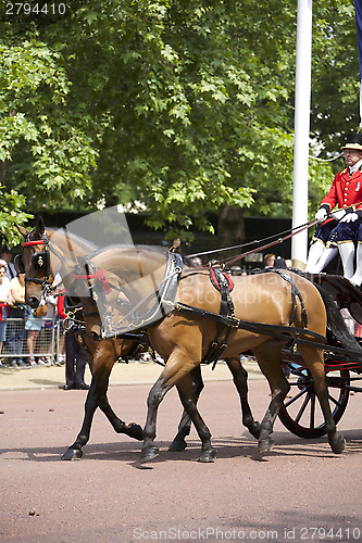 Image of Royal Guards in London