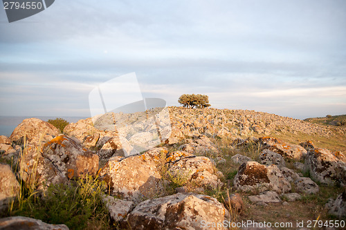 Image of galilee landscape