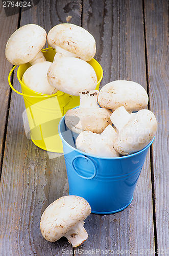 Image of Raw Champignons