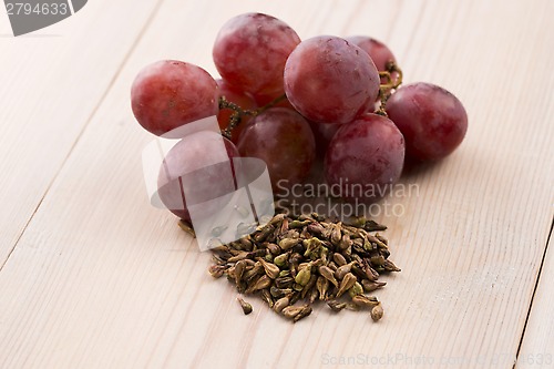 Image of grape seed oil 