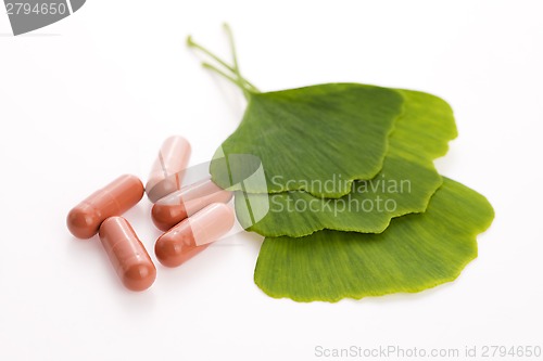 Image of Ginkgo biloba leaves in mortar and pills