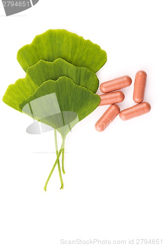 Image of Ginkgo biloba leaves in mortar and pills