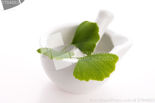 Image of Ginkgo biloba leaves in mortar and pills